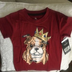 4T Young Boy Short Sleeve Top.